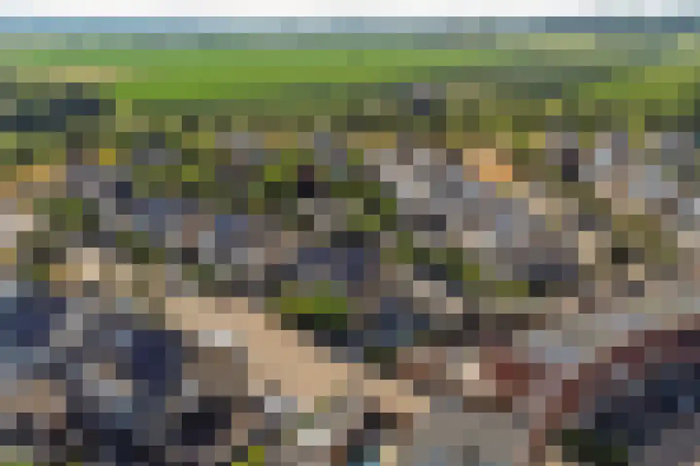 Veulenskampje 9 Millingen aan de Rijn foto 3