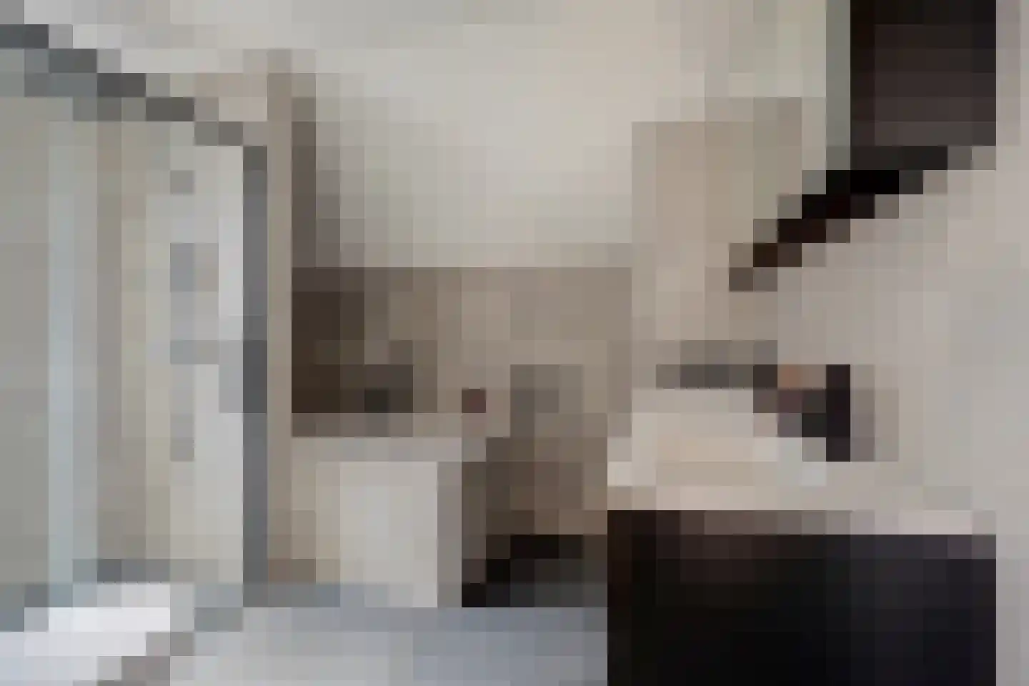 Veulenskampje 9 Millingen aan de Rijn thumbnail 32
