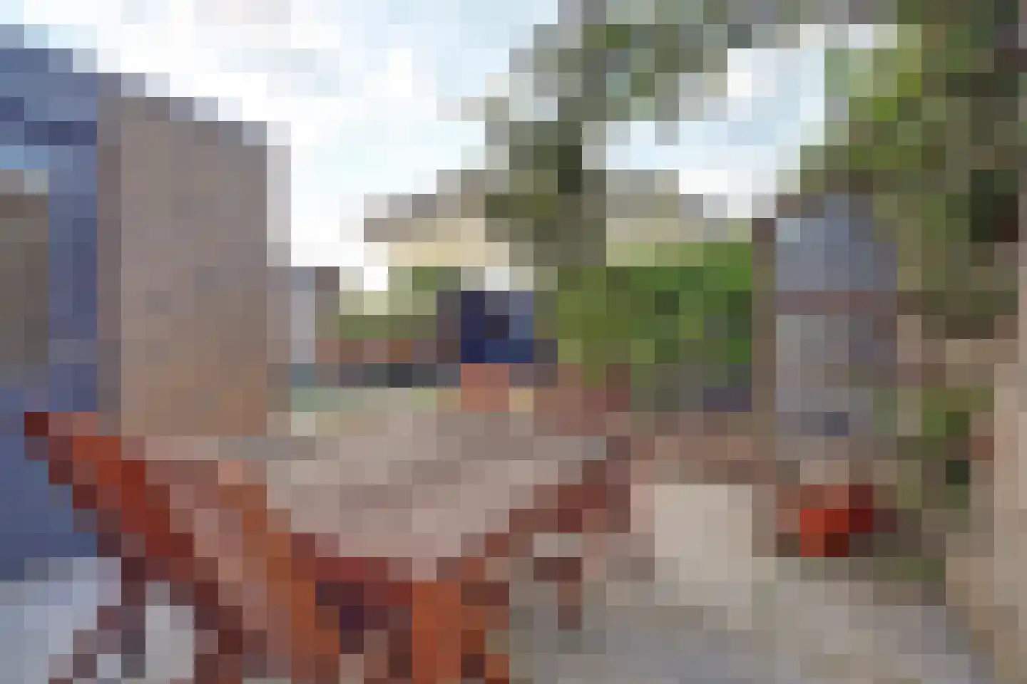 Veulenskampje 9 Millingen aan de Rijn thumbnail 41