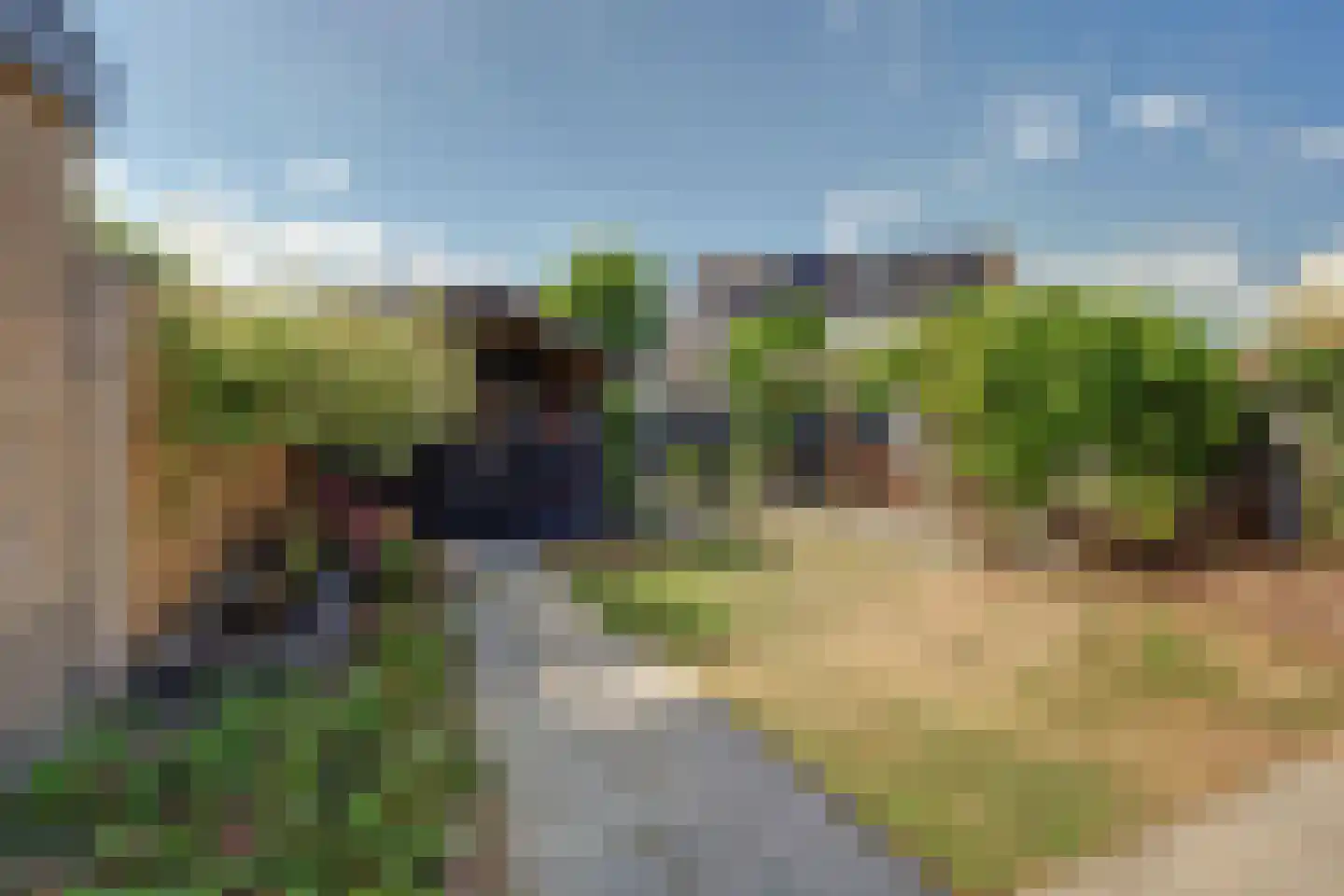Veulenskampje 9 Millingen aan de Rijn thumbnail 42