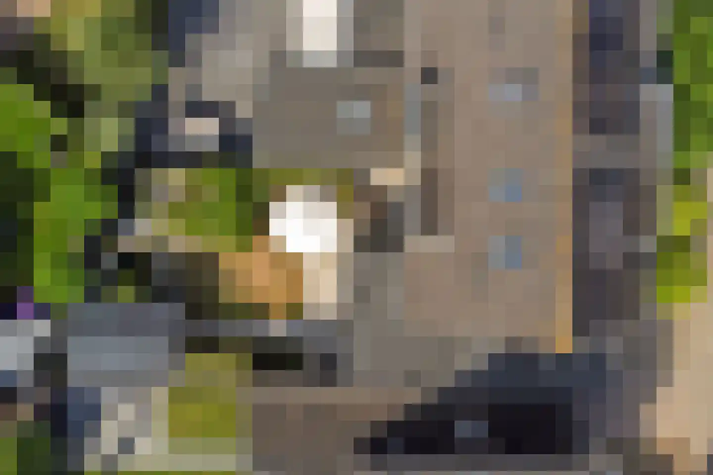 Veulenskampje 9 Millingen aan de Rijn thumbnail 46