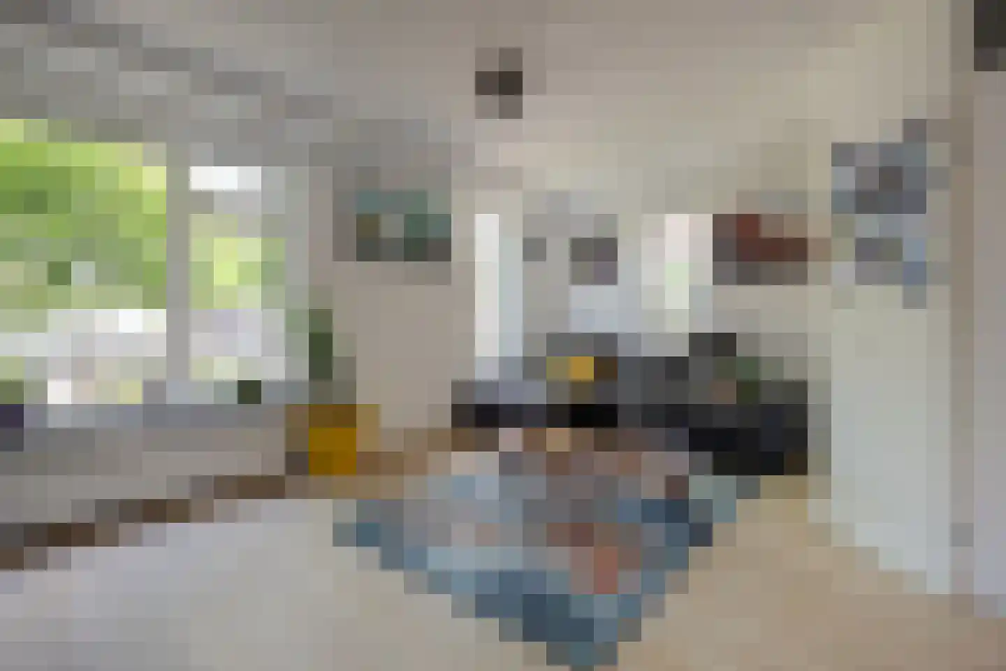 Veulenskampje 9 Millingen aan de Rijn thumbnail 8
