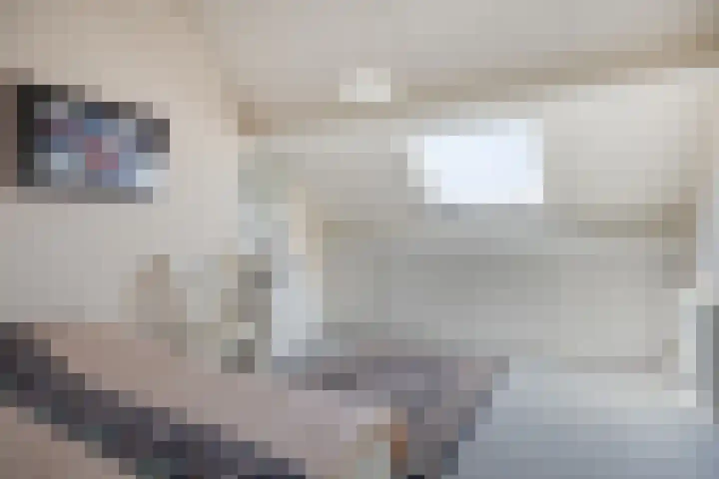 Veulenweide 1 Veghel thumbnail 25