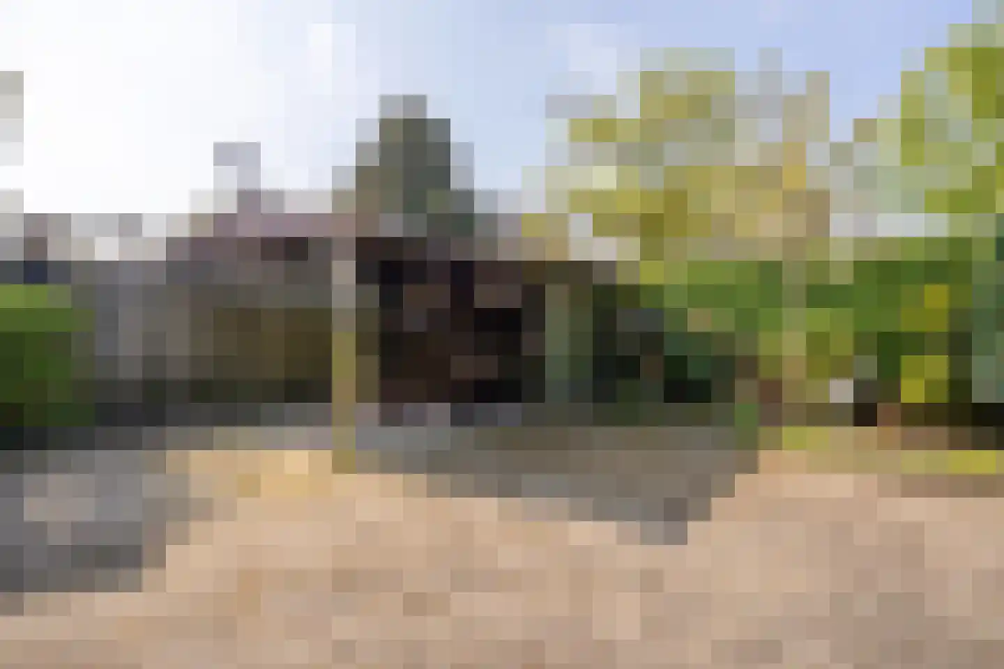 Veulenweide 1 Veghel thumbnail 28