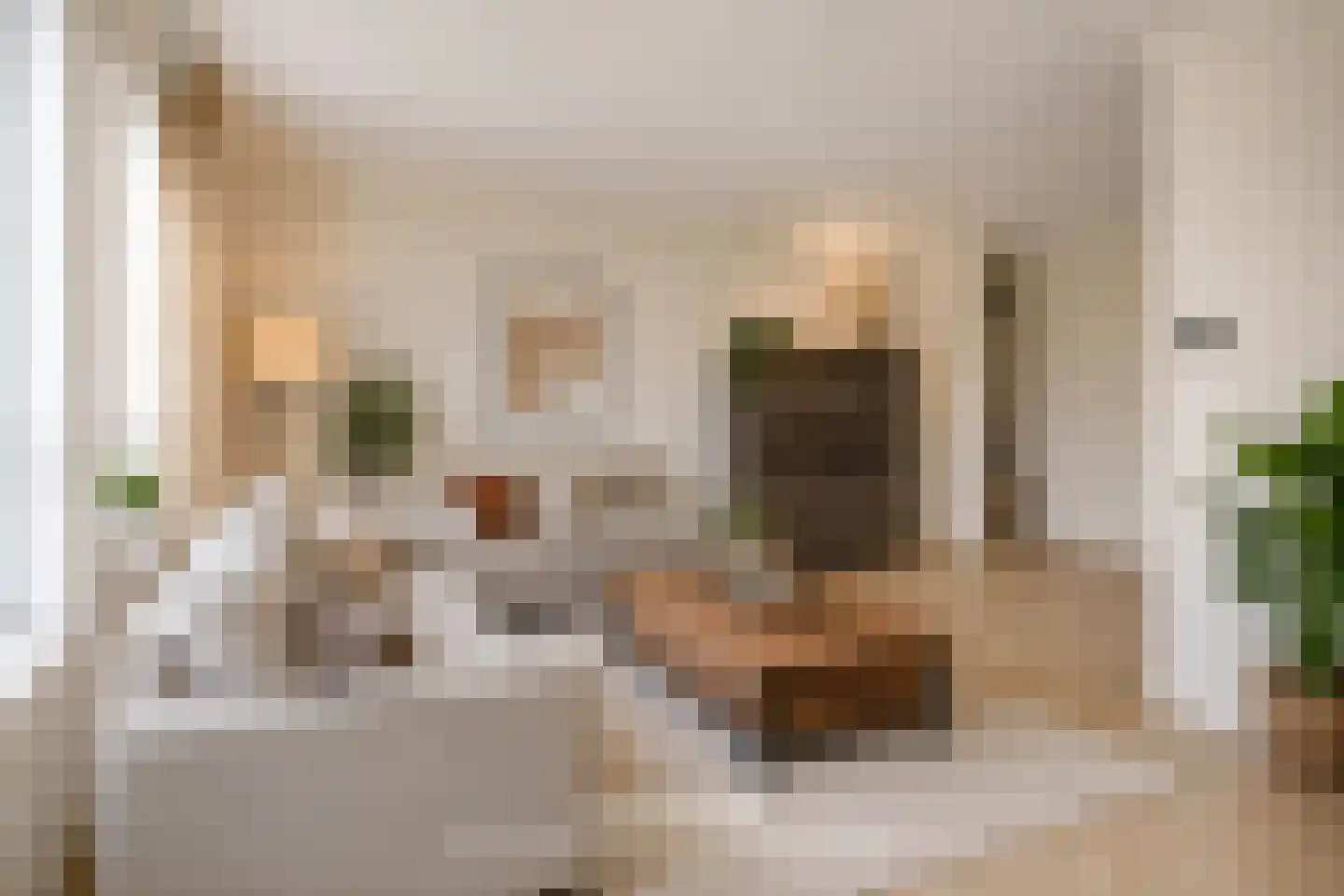 Veulenweide 1 Veghel thumbnail 4