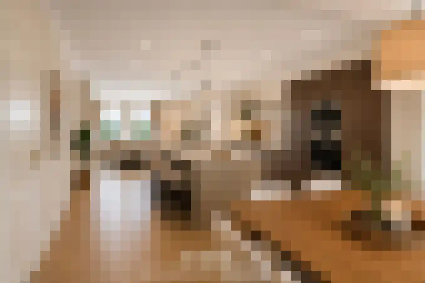 Veulenweide 1 Veghel thumbnail 5