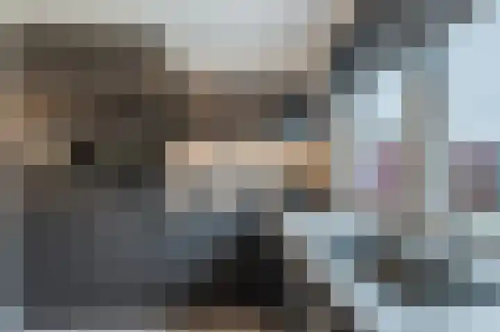 Veulenweide 26 Zoetermeer thumbnail 18