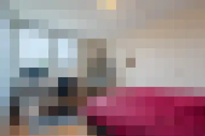 Veulenweide 26 Zoetermeer thumbnail 19