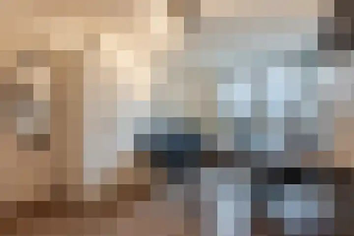 Veulenweide 26 Zoetermeer thumbnail 21