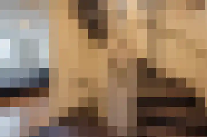 Veulenweide 26 Zoetermeer thumbnail 25