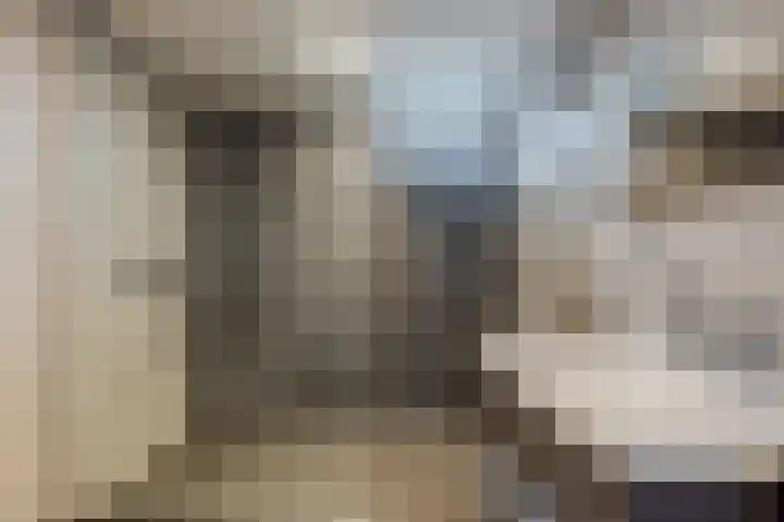 Veulenweide 26 Zoetermeer thumbnail 26