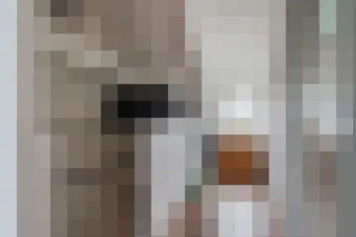 Veulenweide 26 Zoetermeer thumbnail 30