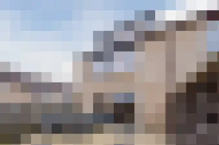 Veulenweide 26 Zoetermeer thumbnail 38