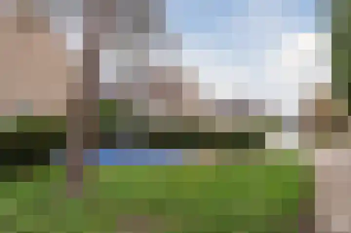 Veulenweide 26 Zoetermeer thumbnail 40