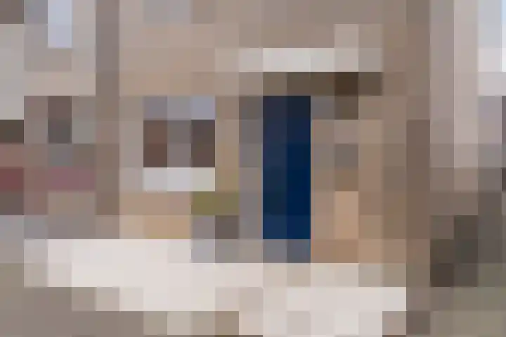 Veulenweide 26 Zoetermeer thumbnail 7
