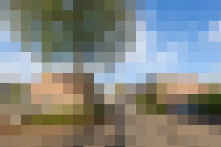 Veulenweide 86 Zoetermeer thumbnail 25