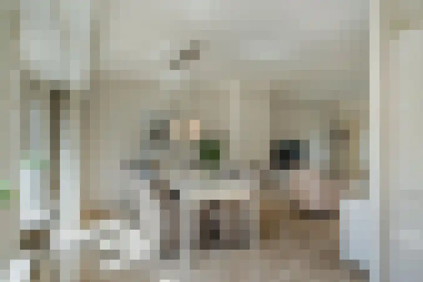Veurhuis 12 Blaricum thumbnail 15
