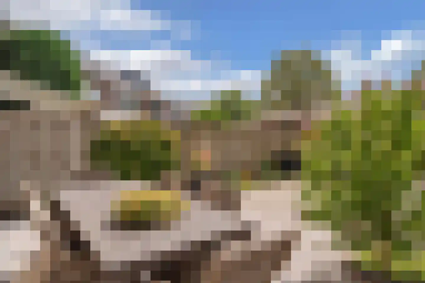 Veurhuis 12 Blaricum thumbnail 32