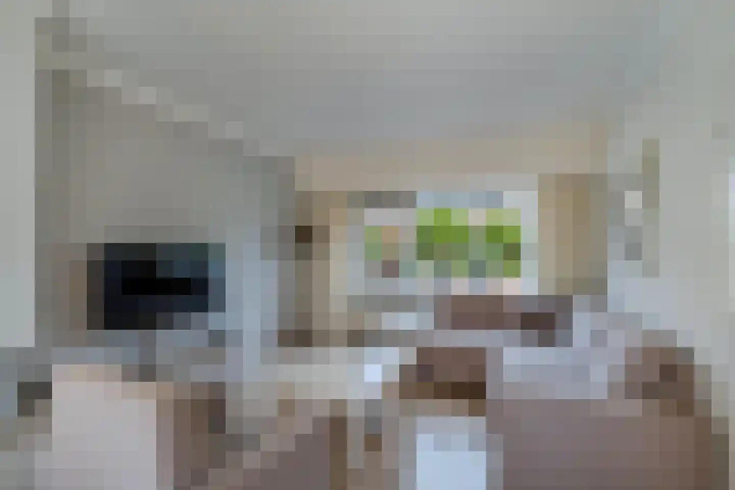 Veurhuis 12 Blaricum thumbnail 8
