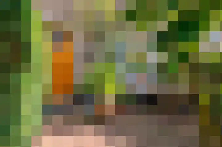 Veurnsestraat 18 Den Haag thumbnail 5