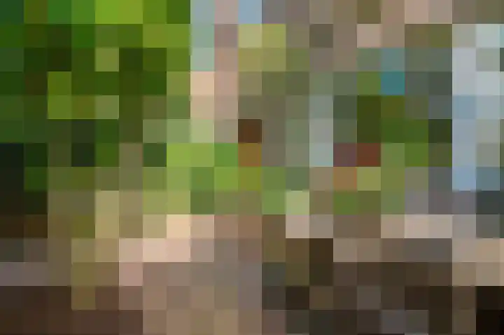 Veurnsestraat 18 Den Haag thumbnail 6