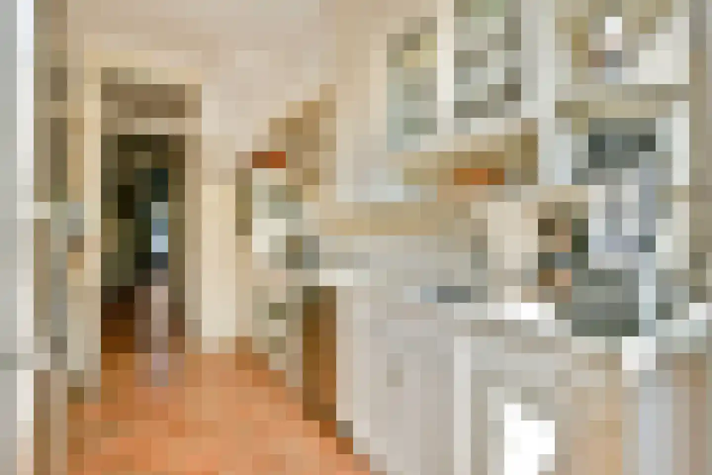 Veurnsestraat 22 Den Haag thumbnail 12