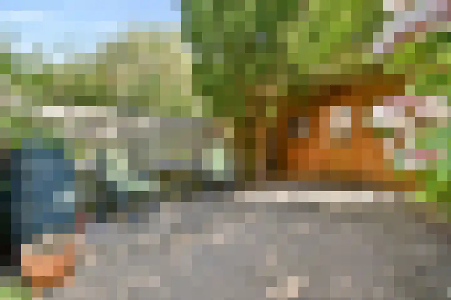 Veurnsestraat 22 Den Haag thumbnail 14