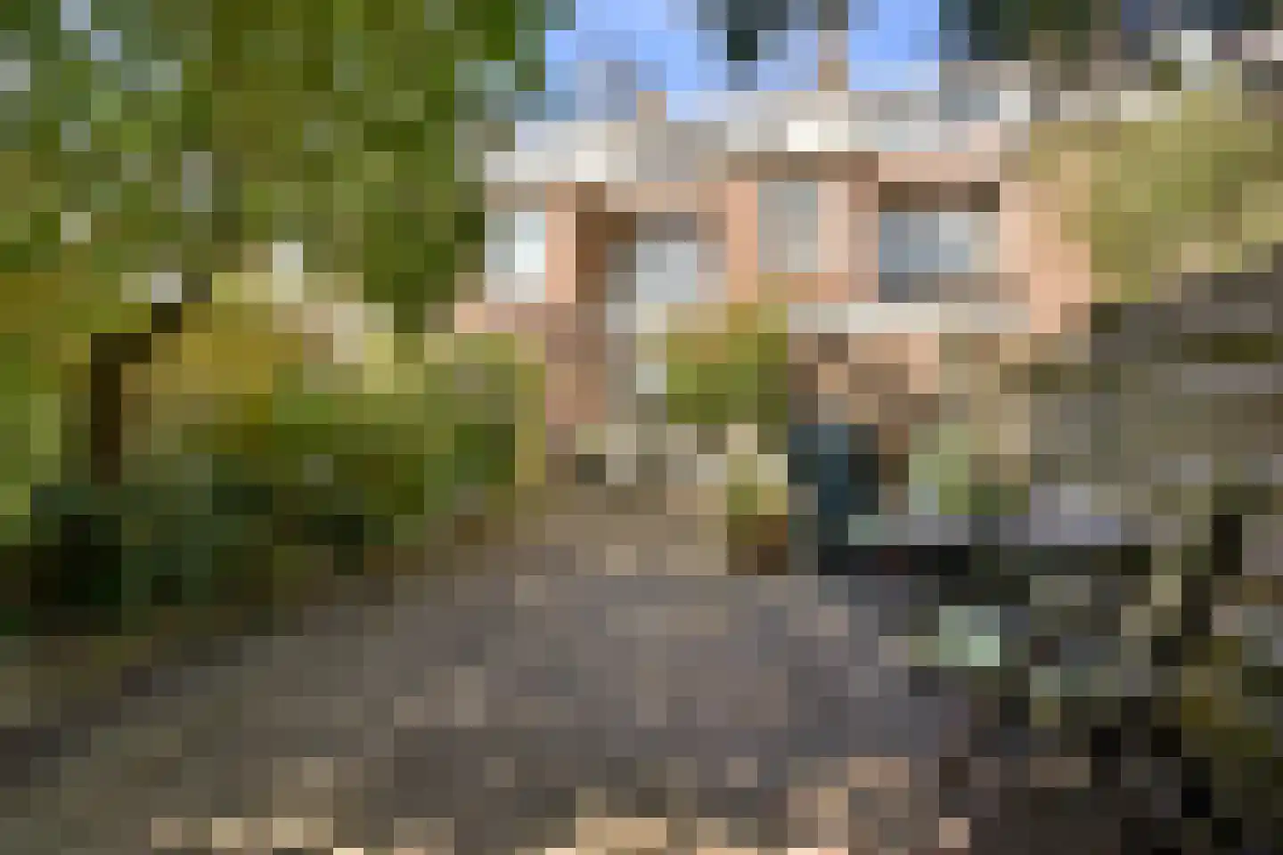 Veurnsestraat 22 Den Haag thumbnail 15