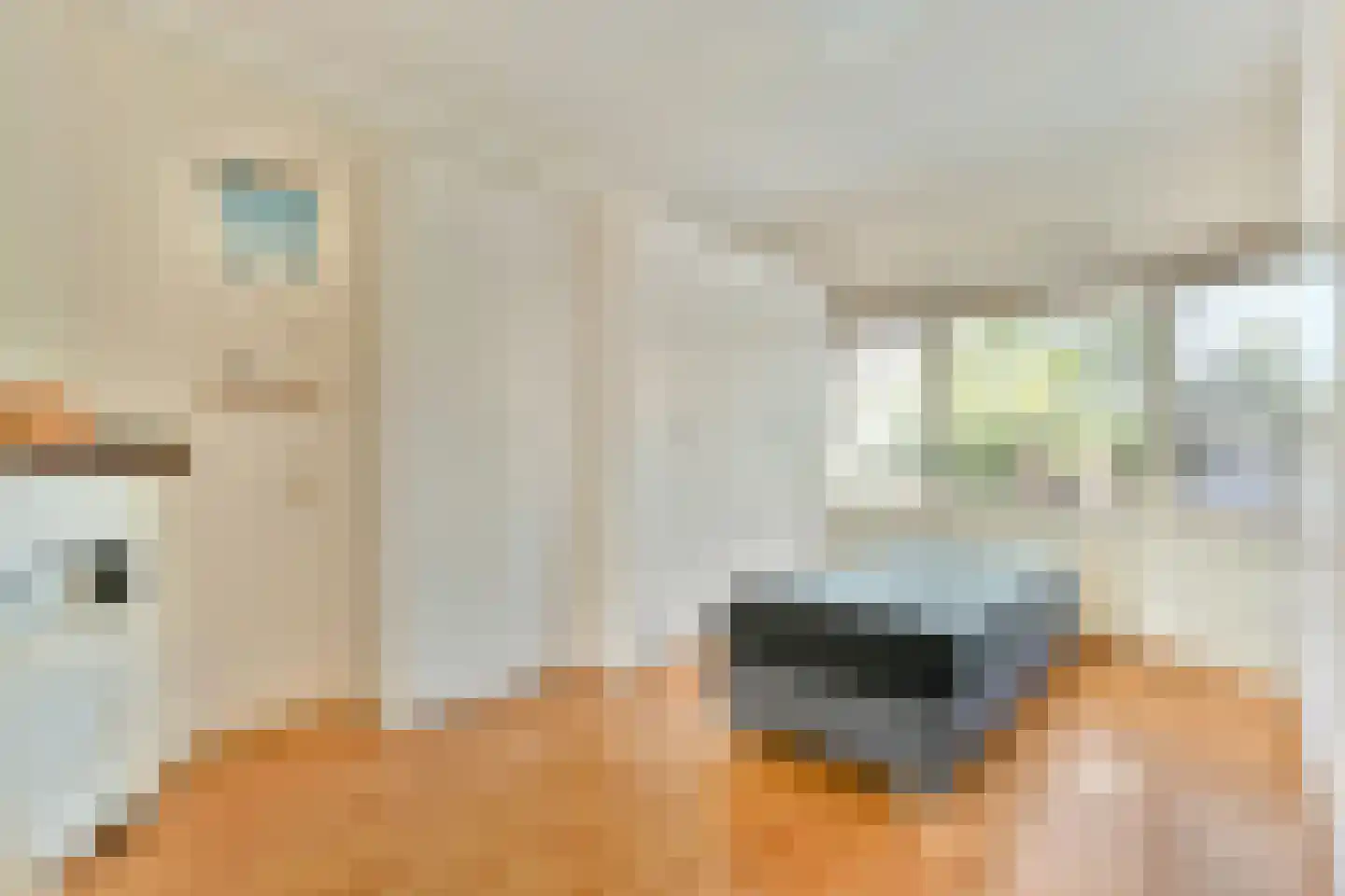 Veurnsestraat 22 Den Haag thumbnail 17