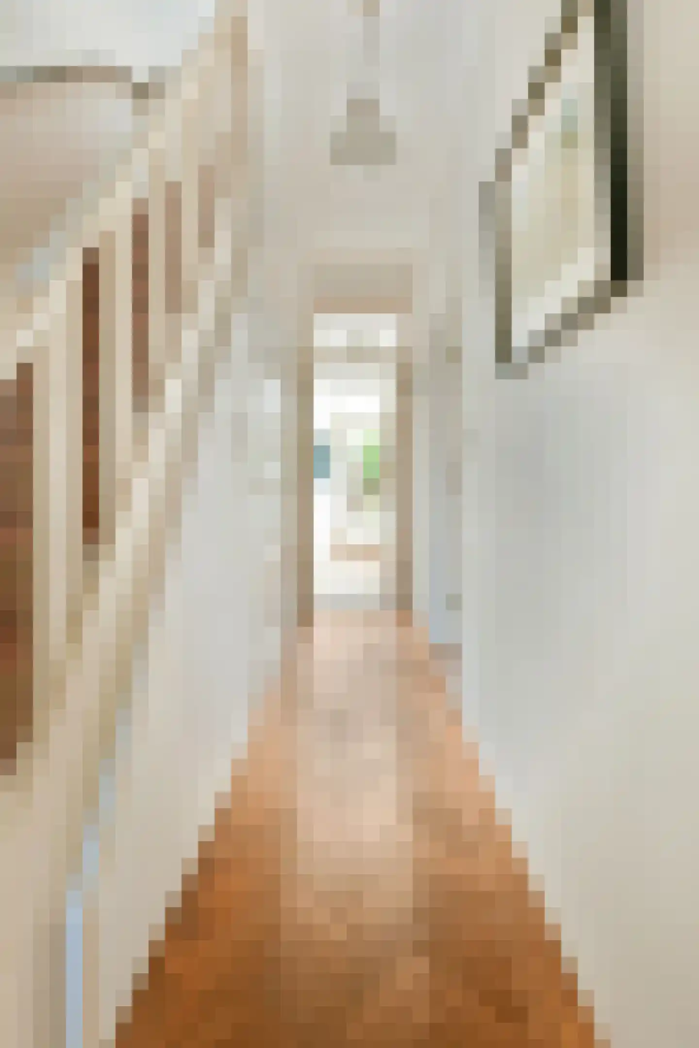 Veurnsestraat 22 Den Haag thumbnail 5