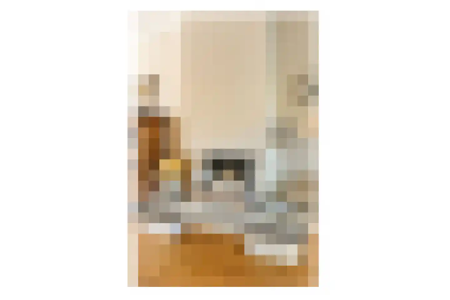 Veurnsestraat 22 Den Haag thumbnail 9
