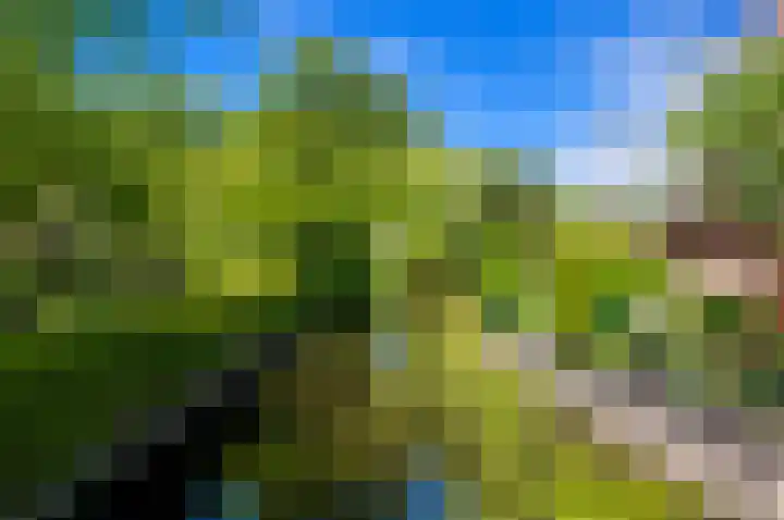 Veurse Achterweg 35 Leidschendam thumbnail 33