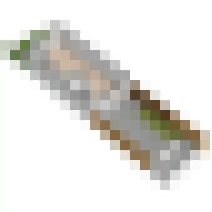 Veurse Achterweg 37 Leidschendam thumbnail 57
