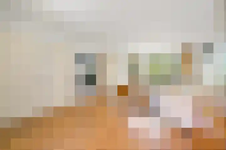 Veurse Achterweg 37 Leidschendam thumbnail 9