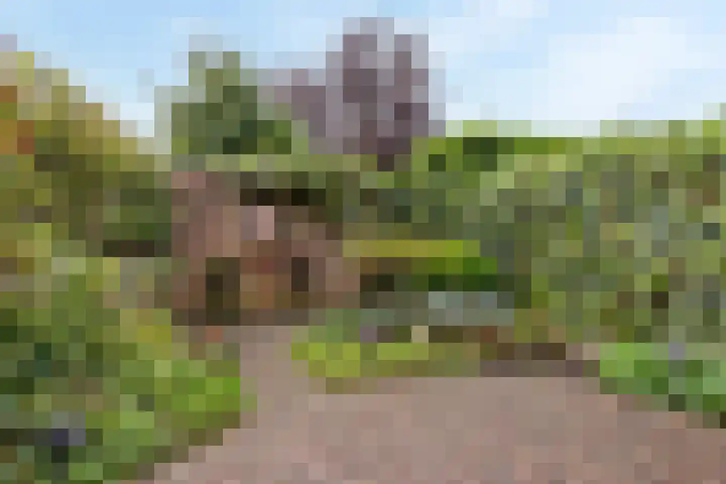 Veurse Achterweg 57 Leidschendam thumbnail 12