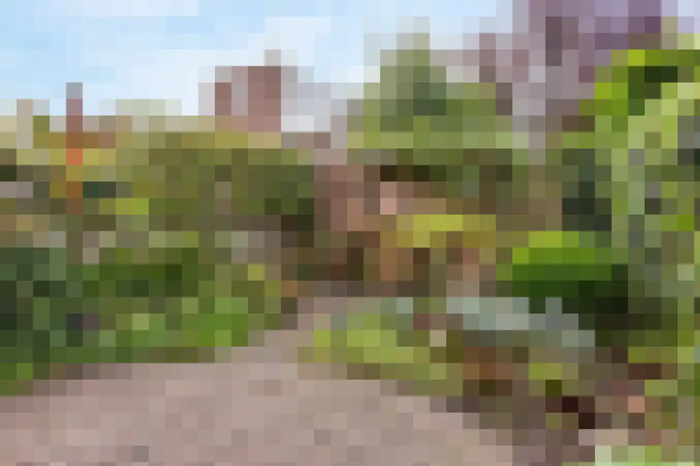 Veurse Achterweg 57 Leidschendam thumbnail 13