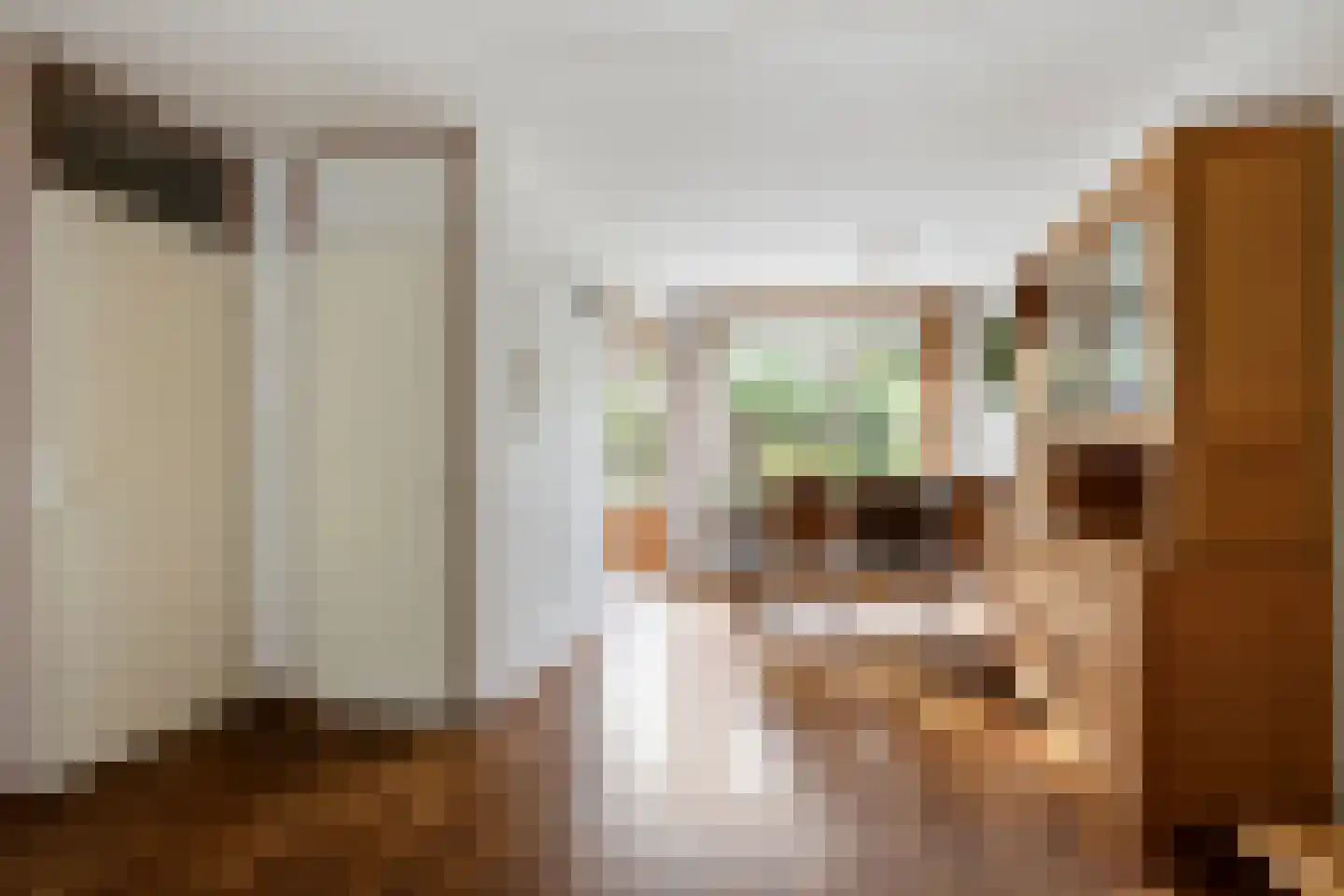 Veurse Achterweg 57 Leidschendam thumbnail 7