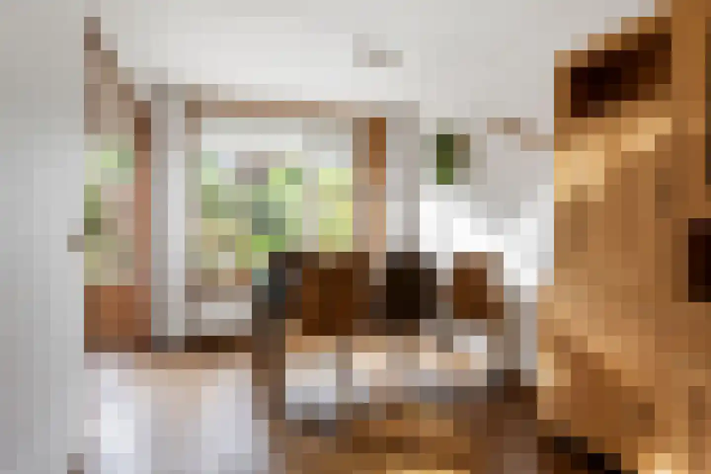 Veurse Achterweg 57 Leidschendam thumbnail 8