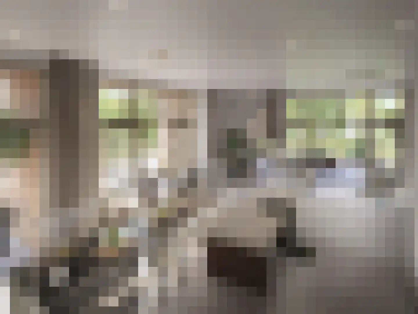 Veurse Horst 3 Leidschendam thumbnail 12