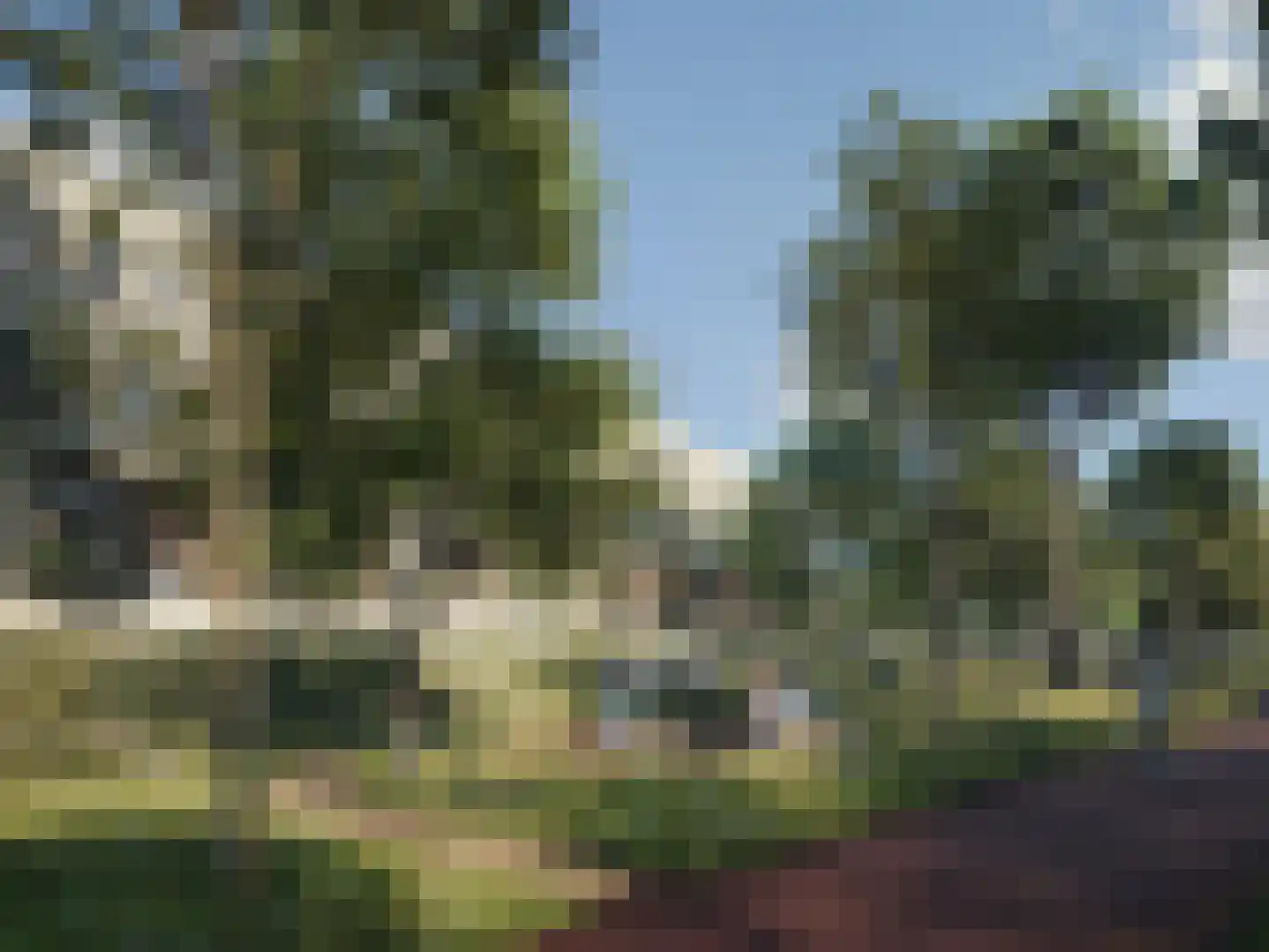 Veurse Horst 3 Leidschendam thumbnail 13
