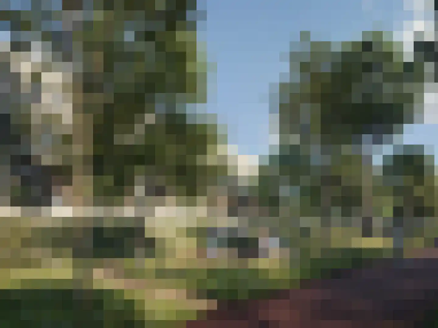 Veurse Horst 3 Leidschendam thumbnail 6