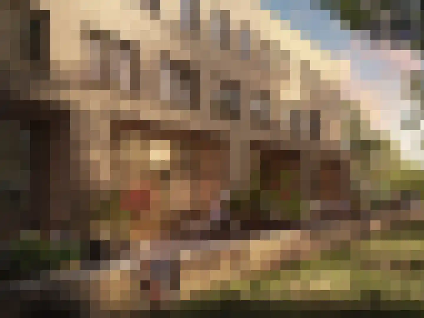 Veurse Horst 3 Leidschendam thumbnail 7