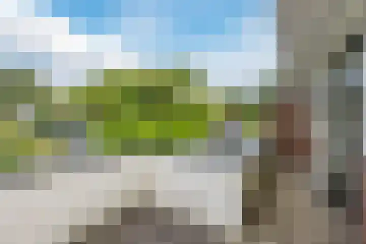 Veurseweg 148 Voorschoten thumbnail 28