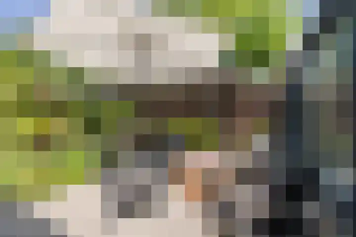 Veurseweg 148 Voorschoten thumbnail 36
