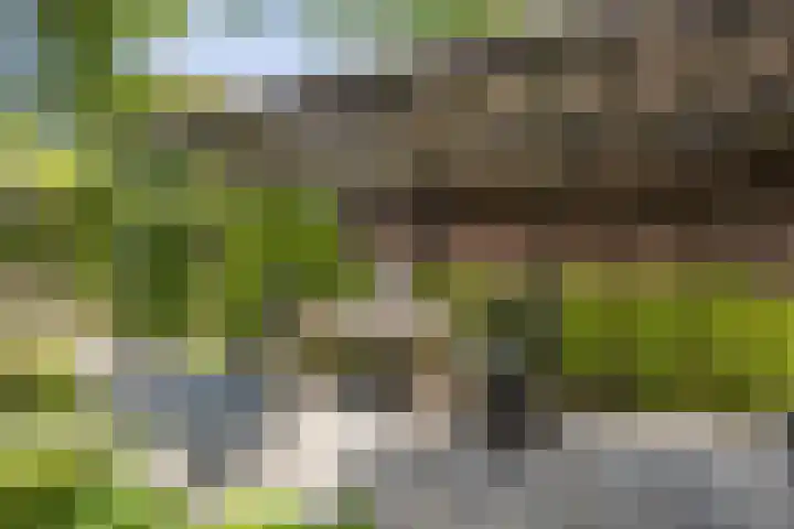 Veurseweg 148 Voorschoten thumbnail 37