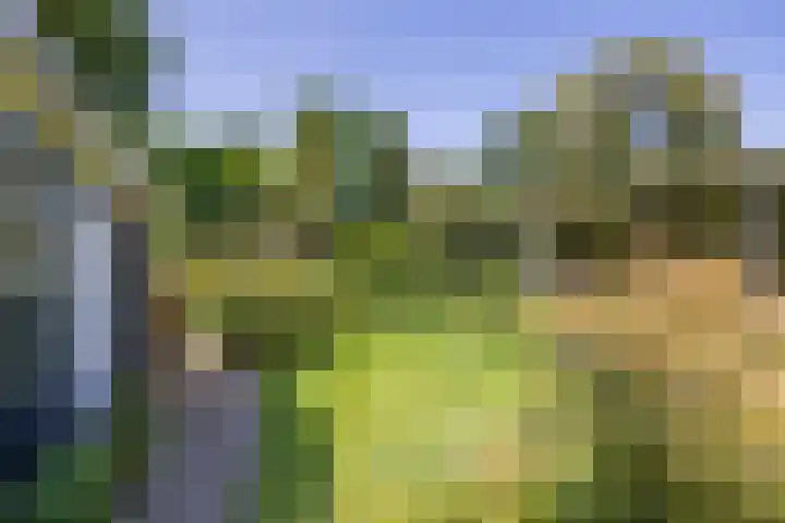 Veurseweg 148 Voorschoten thumbnail 38