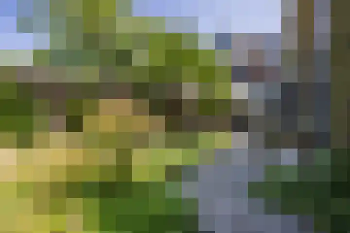 Veurseweg 148 Voorschoten thumbnail 40