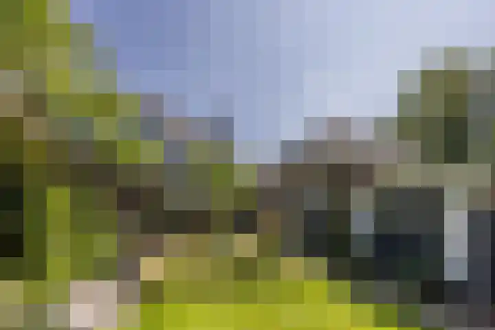 Veurseweg 148 Voorschoten thumbnail 41