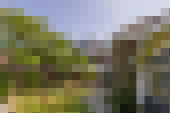 Veurseweg 148 Voorschoten thumbnail 42