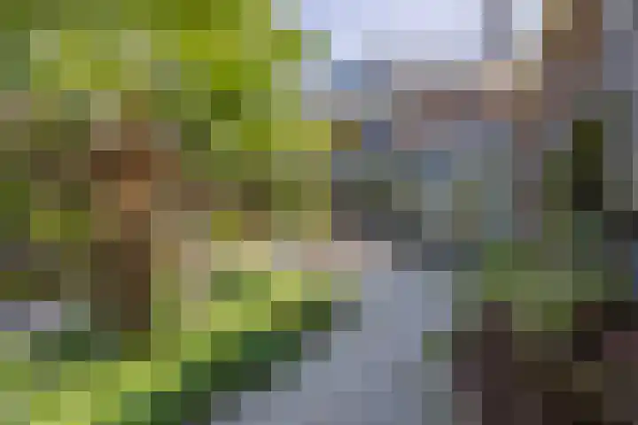 Veurseweg 148 Voorschoten thumbnail 43